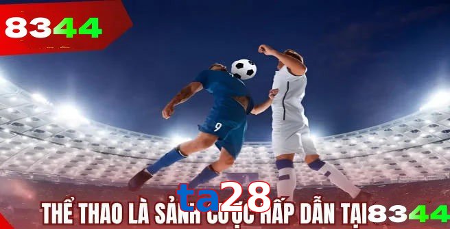 Thể thao ta28 tường thuật trực tiếp kèm thống kê chuẩn xác